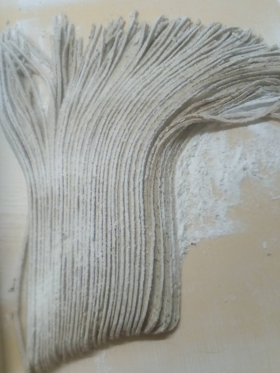 入野谷在来切り 入野谷在来そばの切り